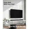 LEENUE TV Cable Hider for Wall Mounted TV, Slim Round