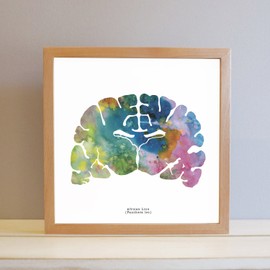 J. Sayuri African Lion Brain Art - 8.5" x 8.5" Animal Brain Artwork - Thoughtful Neurology, Neuroscience, Psychology Gifts - Great Medical Graduation Gifts
