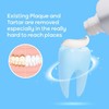 Plaque & Tartar Remover Toothpaste for Teeth: Removes Plaque &