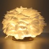 Feather Table Lamp USB Type C 5V Touch Control Stepless