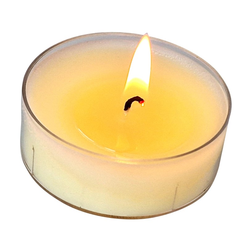 Pritogo, tea lights, maxi XXL plastic case, diameter 5.8 cm