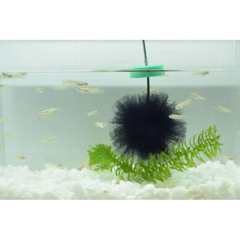 Miplus Medaka Egg Collection Floor, Rollama Ball TYPE-B, Easy to