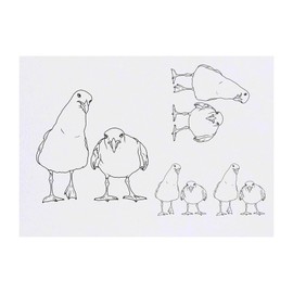 4 x 'Grumpy Seagulls' Temporary Tattoos - Water Resistant, Skin-Safe, Non-Toxic Transfers, Mixed Sizes (TO00085116)