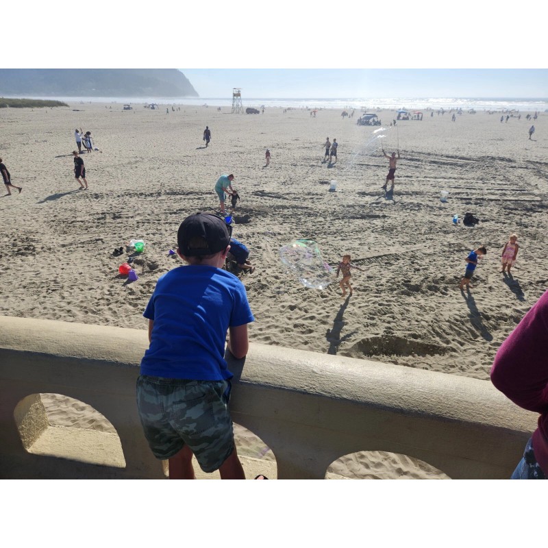 Seaside Beach Sand Sample Seaside Oregon Clatsop County Apx. 30ml