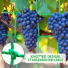 Trellis Net for Climbing Plants, 2 x 5 m, Plant