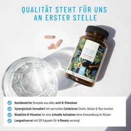 NATURTREU Vitamin B Komplex (B1-B12) mit 3 Kofaktoren aktiv - Alle 8- B Vitamine - Vitamin B Komplex Vegan - B Vitamin Komplex hochdosiert mit Cofaktoren - Nervenstark *
