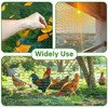 Bird Protection Net (Green, 4 x 12 m)
