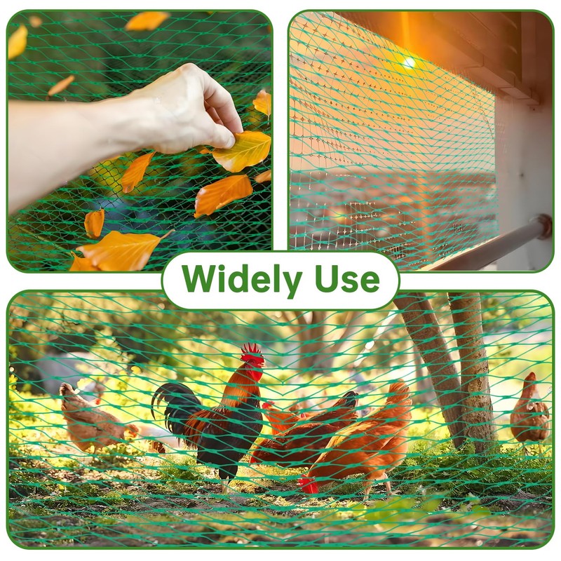 Bird Protection Net (Green, 4 x 12 m)