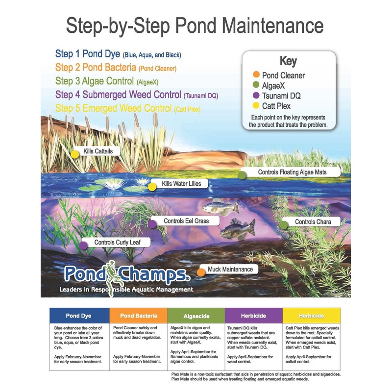 Blue Lake and Pond Dye (4 Gallon Value Pack)