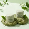 Arencia Fresh Green Rice Mochi Pore Cleanser 120GX2 pack / 아렌시아 프레시 그린 라이스 모찌 모공 클렌져 120GX2입