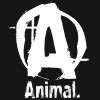 Universal Animal M Stak 21 Packs
