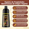 Hair Dye Shampoo Darkbrown Tinte Cubrir Canas Semi Permanent Color