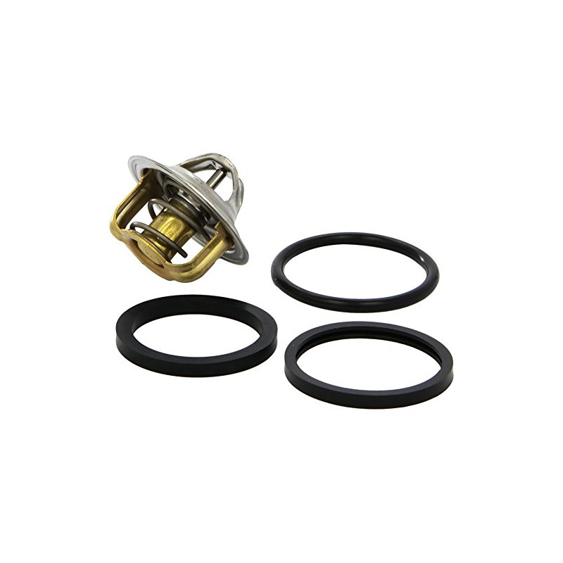 Behr Thermot-Tronik TX 1 79D Thermostat, coolant