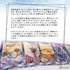 Runes Oracle Card, Genuine Runes Oracle Cards, Japanese Instruction Manual
