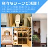Shared Lighting, Ceiling Fan, Fan Light, Small, E26, 60W Equivalent,