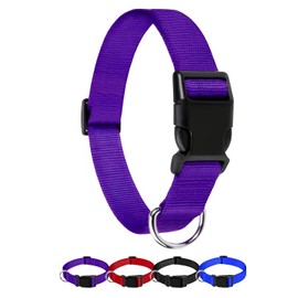 Collar para Perro diseño cómodo Resistente y Ajustable. Collar para Mascota Mini, Mediano, Grande y Extra Grande. Collar para Gato. Ideal para Dar un Paseo. Dog Collar (Grande, Morado)