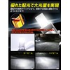 Briteye LED Headlight, Car Inspection Compatible, 6500K, White, Fanless, DC12,
