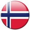 Norway Flag Fridge Magnet Countries Travel Souvenir Flag Fridge Magnet