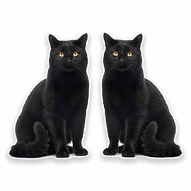 2 x 10cm Black Cat Vinyl Sticker Decal Laptop Tablet Fridge Animal Kitten #9641 (6.5cm Wide x 10cm Tall)