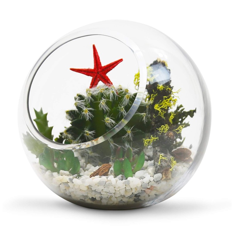 WGV 6" Clear Glass Vase Slant Cut Tilted Bubble Bowl,