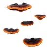 JAVERGGN Pack of 5 Mushroom Shelf Wall Decoration Small Wall