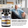 Prostate - Stinging Nettle, Saw Palmetto, Beta-Sitosterol - Urinary Tract