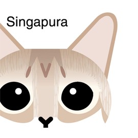 Chirami Hot Cat Sticker Singapura MK-2