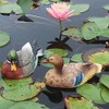 Outdoors Mallard Duck Statue, Realistic Duck Floater Floating Duck Decoys