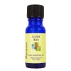 WYNDMERE Naturals Clove Bud Essential Oil, 0.33 FZ