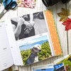 Robert Frederick, Percy The Park Keeper Photo Album, Holds 100