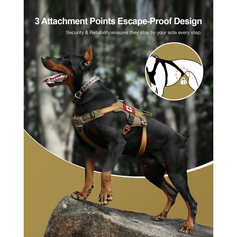FAYOGOO Dog Harness No Pull for Small Medium Breed Tactical