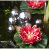 Decorative Ball – Silver Swimming Balls – Pond Ball for