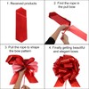 QUARKZMAN Pack of 15 4 Inch Large Organza Pull Bows