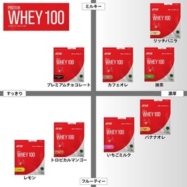 DNS Protein Whey 100 Rich Vanilla Flavor 2.2 lbs (1,000 g), Made in Japan, Drink with Water, WPC Whey Protein, Muscle Training