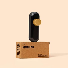 Relight Moment Trailing Edge Dimmer (LED 3-80 W, AGL & HAL 10-100 W), Cord Dimmer Black with Rotary Control Made of Brass Satin Brass