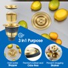 ROVOGO 3-1/2 inch Kitchen Sink Drain Assembly with Removable Deep