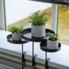 MAISONICA Window Plant Tray Windowsill Clamp Black 24cm Window Dressing