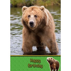 Grizzly Bear Birthday Card