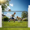 VEVOR Chain Link Fence Gate, 72 x 48 in, Adjustable