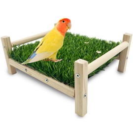 FlidRunest Bird Foraging Bed, Parrot Hammock Bed, Parrot Grass Perch Bed, Bird Perch Conure Platform Grass Forage Toy for Parakeet, Parrot, Cockatiel, Lovebird, Budgie, green
