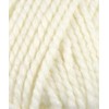 Plymouth (1-Pack) Encore Mega Yarn 0389-1P