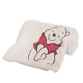 Plush Baby Blanket Super-Soft for Boys and Girls, Gifts for Kids Embroidered Fleece Baby Blanket, Portable Bed Throws for Baby Crib and Toddler Bed, 30”x40”(Hi Winnie)