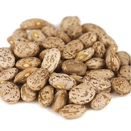Bulk Dried Pinto Beans - Non GMO (Three Pounds)