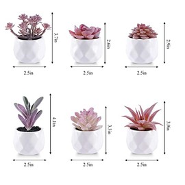 Pack 6 Productos cárnicos Artificiales, decoración de encimeras, baño