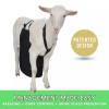 Olor Buck Apron™ Anti Mating Anti Breeding OLOR Buck Apron™