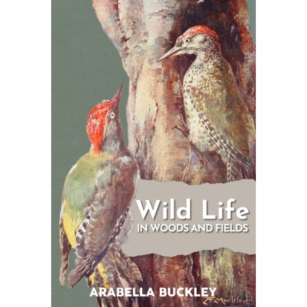 Wild Life in Woods and Fields (Illustrated)