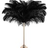 Retrowavy 30 Pcs 18-20 Inch Large Natural Ostrich Feathers Bulk
