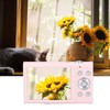 4K Digital Camera 48MP 2.8 Inch IPS HD Screen 16X