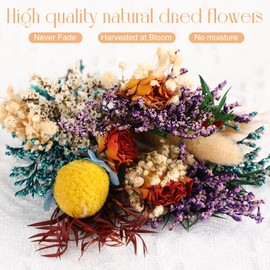 100 Pcs Mini Dried Flower Bouquets Natural Baby Breaths Gypsophila Rabbit's Tail Eucalyptus Leaves 50 Varieties 2 Stems Floral Plant for DIY Crafts Kit Home Decor Wedding Baby Shower Favors