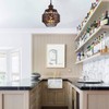YLONG-ZS Vintage Hanging Lamp Plug in Pendant Lights,Hanging Lights with